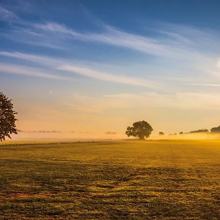 Zur Post - Ein Rovell 4* Heringsdorf (Usedom)